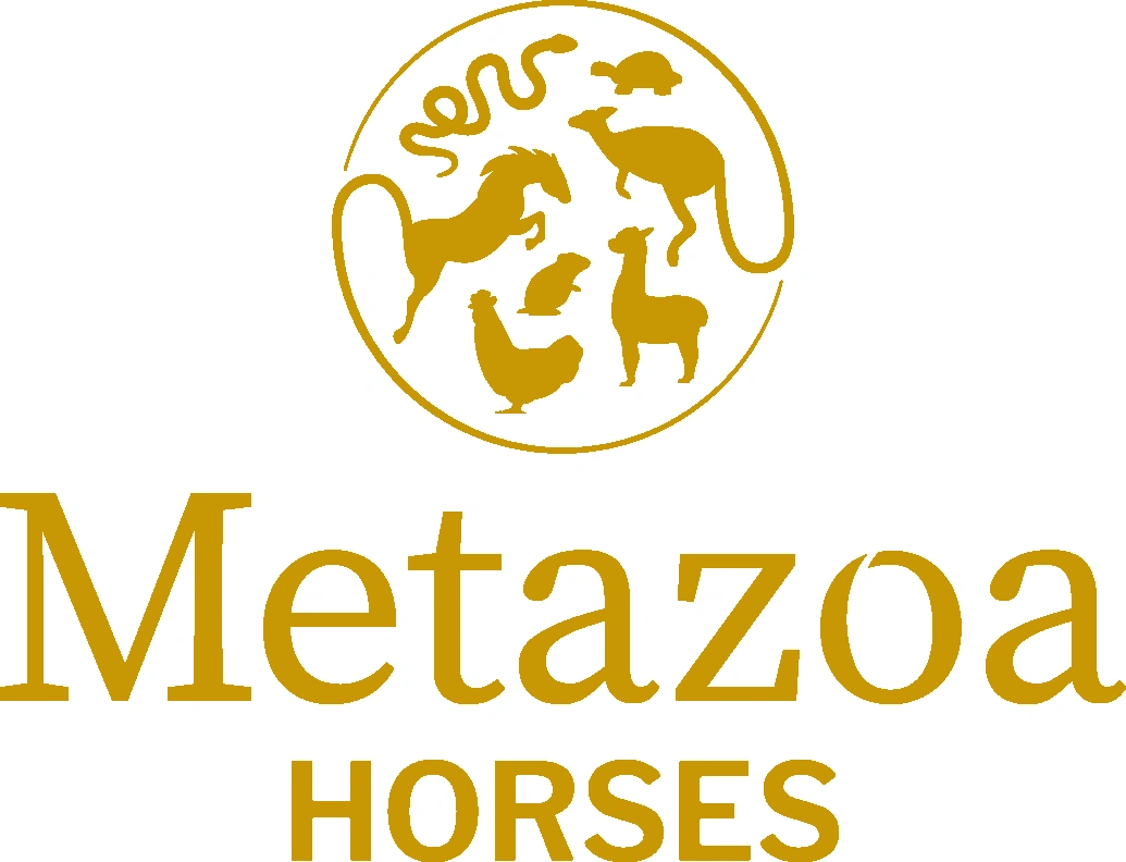 Metazoa Logo staand geel